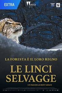 Le linci selvagge